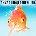 Akvariumų Priežiūra